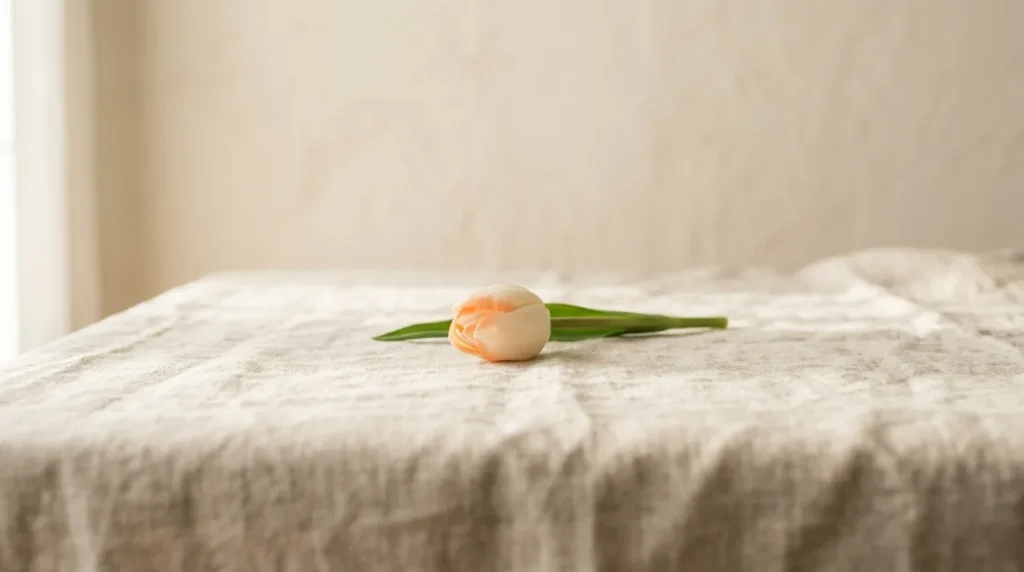 Closed cream tulip bud on a short green stem